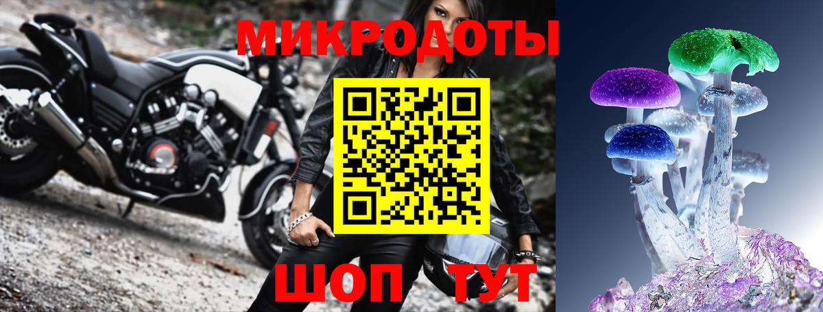 Псилоцибиновые грибы прущие грибы Северск